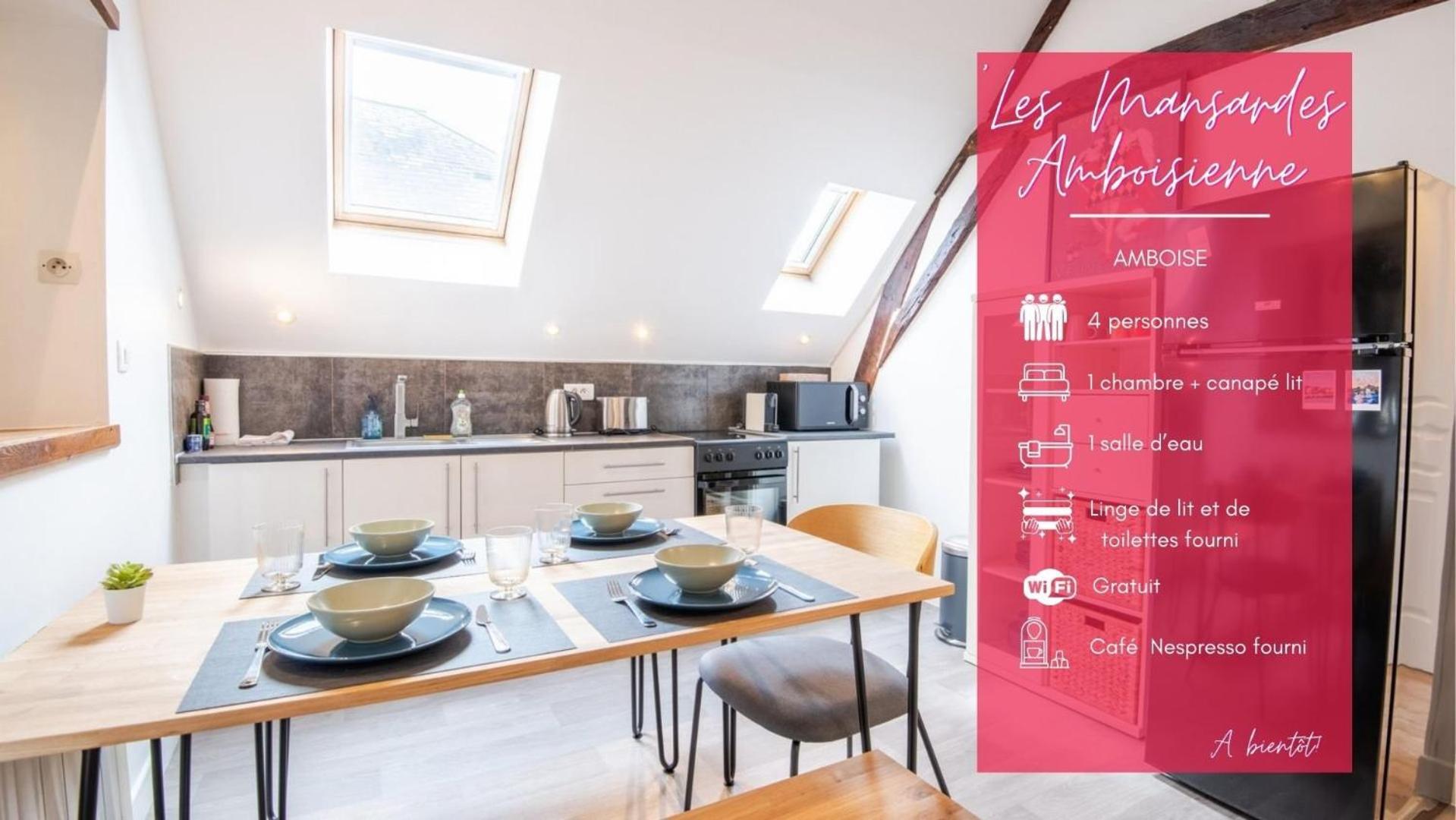 Les Mansardes Amboisiennes Apartment อองบวส ภายนอก รูปภาพ