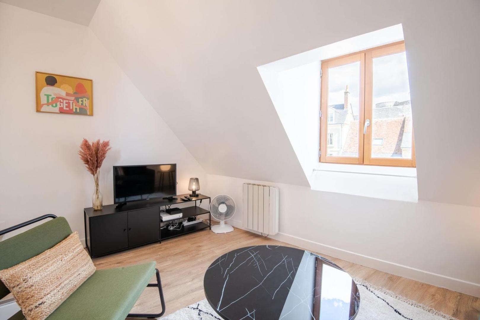 Les Mansardes Amboisiennes Apartment อองบวส ภายนอก รูปภาพ