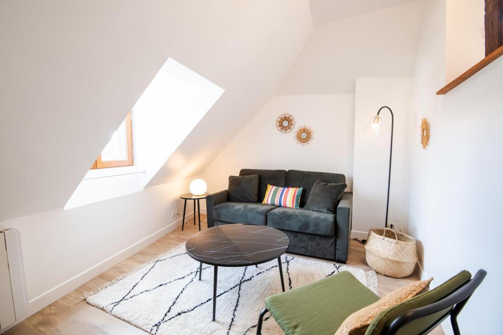 Les Mansardes Amboisiennes Apartment อองบวส ภายนอก รูปภาพ