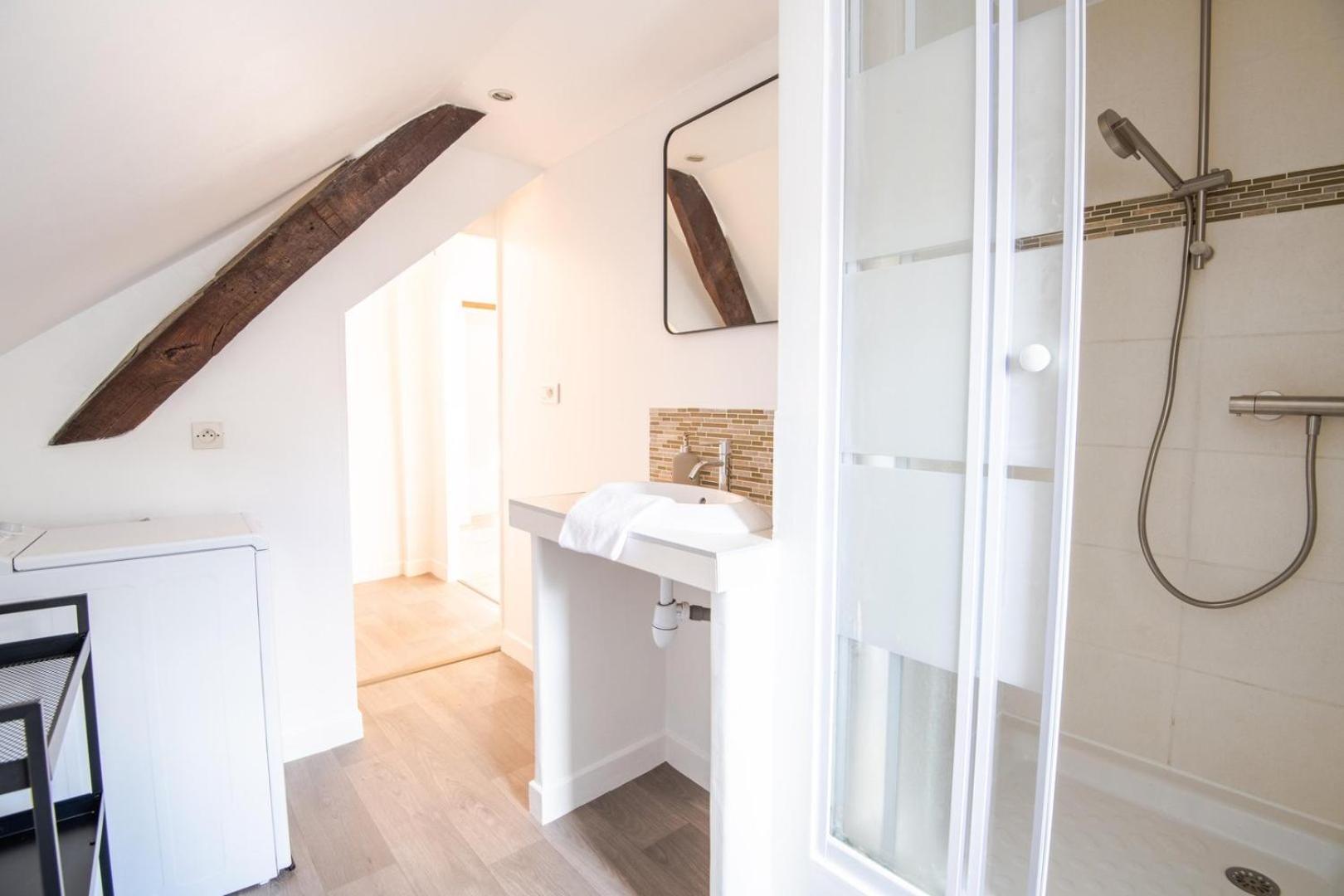 Les Mansardes Amboisiennes Apartment อองบวส ภายนอก รูปภาพ